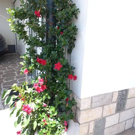 Karmen * بورتوروز