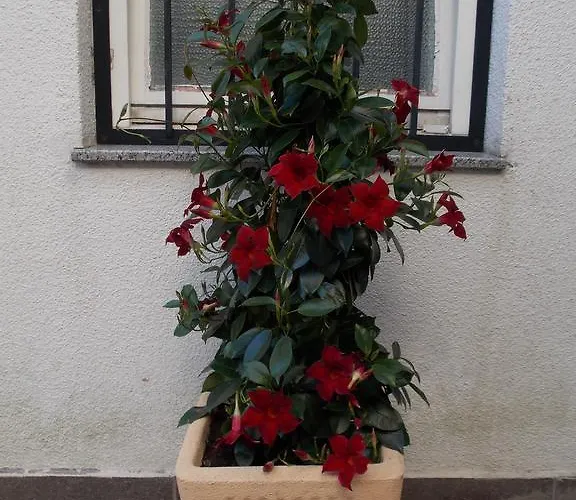 Apartamento Karmen *